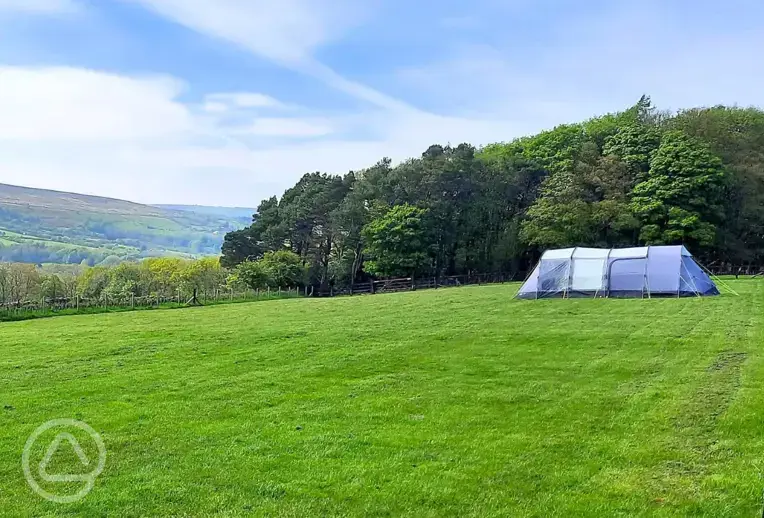 Newton House Farm Campsite