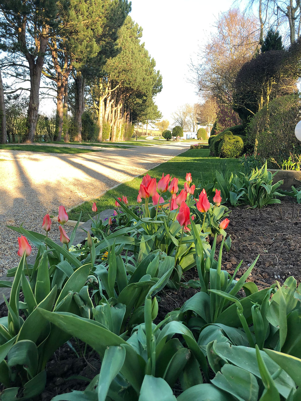 Overbrook Caravan Park